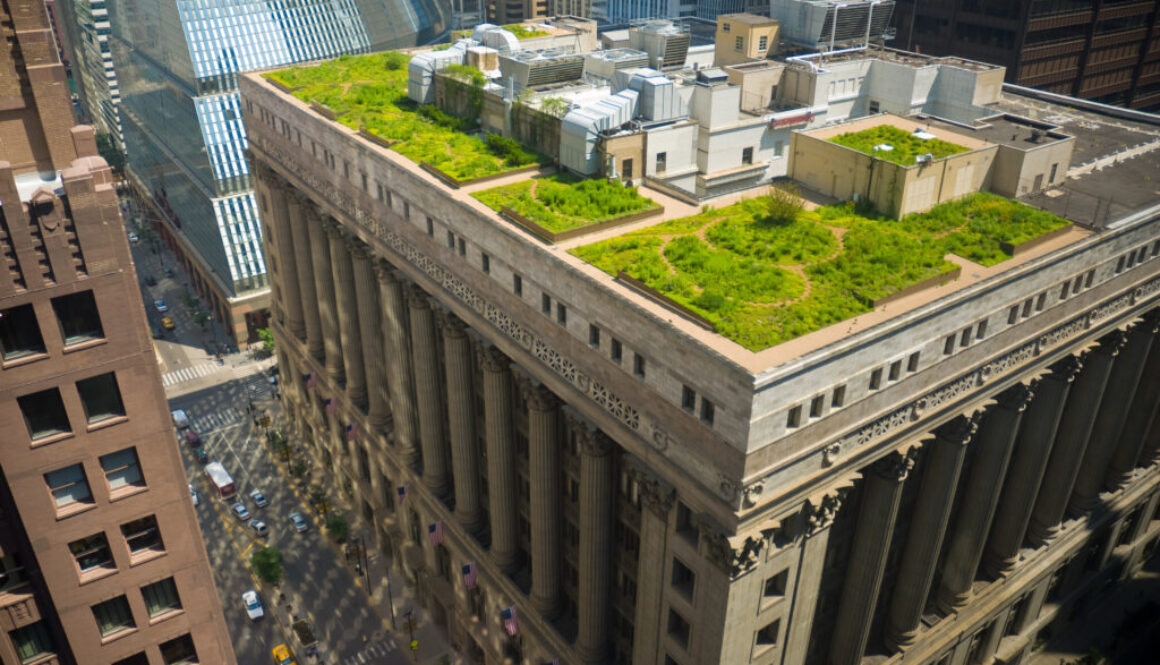 The green roof on Chicago's City Hall building.