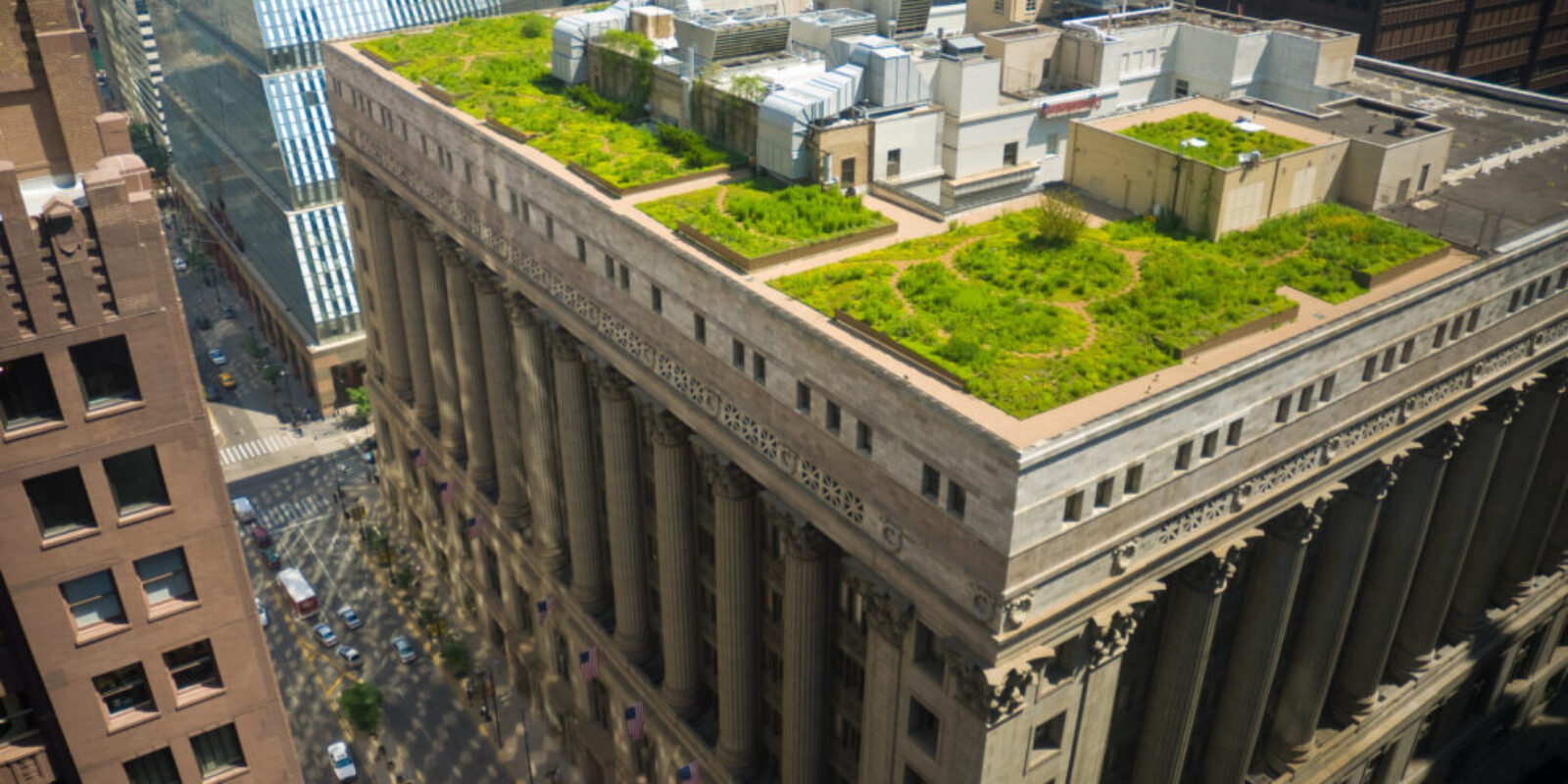 The green roof on Chicago's City Hall building.