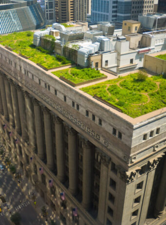 The green roof on Chicago's City Hall building.