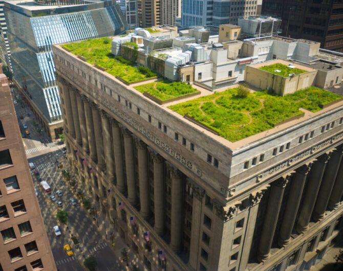 The green roof on Chicago's City Hall building.